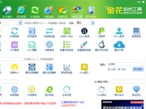 吃瓜站长工具,轻松掌握网络信息，畅享便捷生活