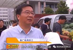 社区干部吃瓜事件,一场意外的舆论漩涡