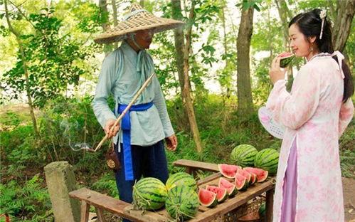 无事吃瓜故事汇,无事吃瓜故事汇精选