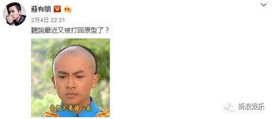 无事吃瓜故事汇,无事吃瓜故事汇精选