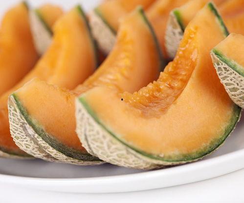 英短吃哈密瓜,美味与健康的完美结合