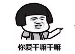 吃瓜大学室友,揭秘校园里的欢乐生活点滴