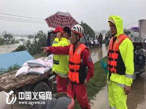 义乌吃瓜事件,一场网络热议背后的真相与反思