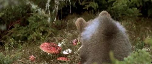 吃瓜小熊花西子,揭秘网红美妆界的跨界传奇