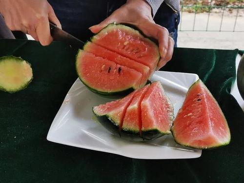 吃瓜南京洛阳,探寻南京与洛阳的历史韵味