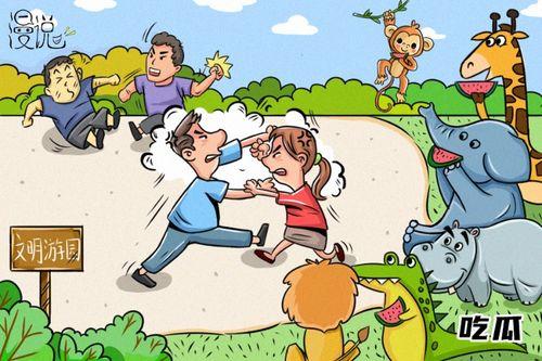 说吃瓜动画,揭秘娱乐圈背后的故事与笑料