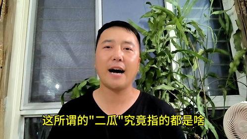 吃瓜老嫂子意思,网络热词背后的社会现象