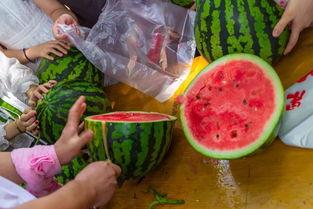 新港吃瓜视频,揭秘娱乐圈幕后故事