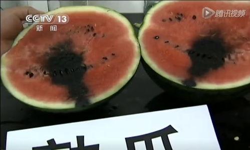 新港吃瓜视频,揭秘娱乐圈幕后故事