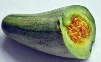 哺乳期吃牛角瓜