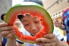 邯郸吃瓜后续,揭秘背后真相与网络舆论的漩涡