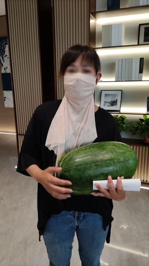 施玲玲吃大瓜,揭秘美食背后的故事