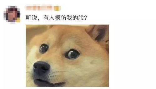 吃瓜微信骂街,网络暴力下的口水战