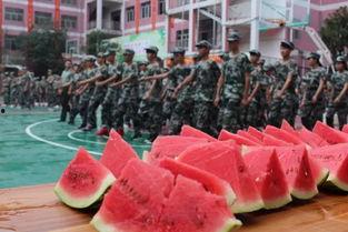 每日大赛-校园吃瓜,揭秘校园里的那些“瓜”