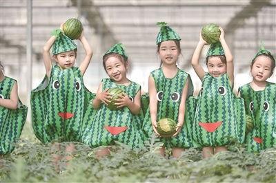 跟着网红吃瓜,揭秘网络红人的美食之旅