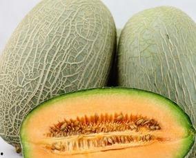 夏天吃哈密瓜好,哈密瓜的清凉诱惑