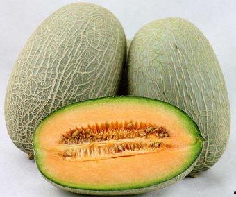 夏天吃哈密瓜好,哈密瓜的清凉诱惑