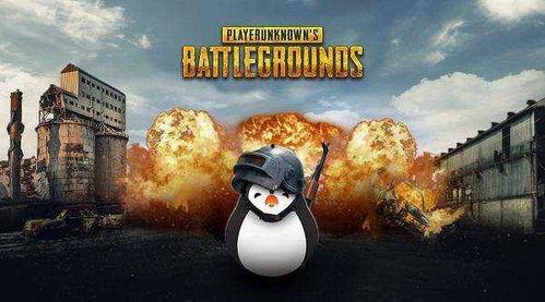 沉浸式吃鸡瓜群众,瓜群众眼中的吃鸡世界揭秘