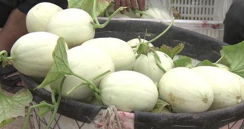 带你吃瓜说雪糕