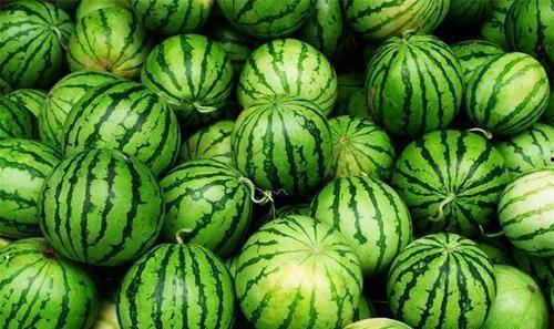 今日吃瓜官网最新,揭秘娱乐圈最新热点事件