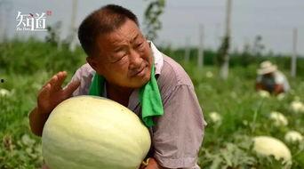 被吃瓜的人拍到