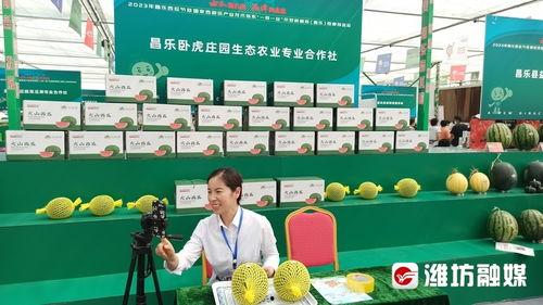 现场直播吃瓜,揭秘娱乐圈幕后真相