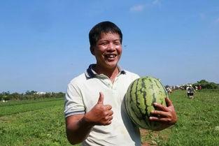 吃瓜群众美滋滋图片,捕捉生活趣味瞬间