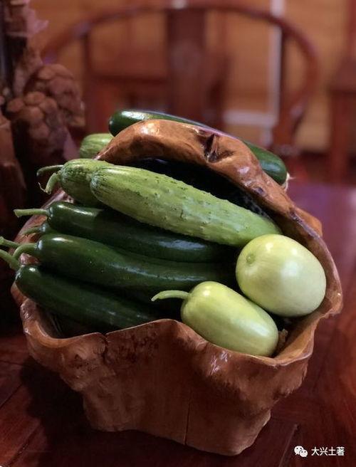 西宁网红吃瓜,一场美食与话题的盛宴