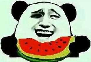 吃瓜没吃,揭秘“吃瓜没吃”背后的真相与争议