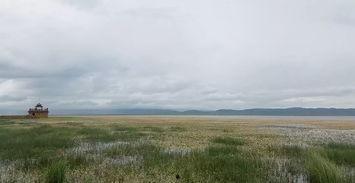 观景吃瓜,畅享夏日悠闲时光