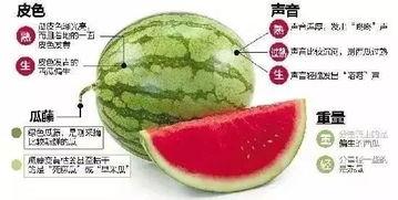 最新吃瓜微信,明星幕后真相大曝光！