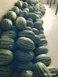 让员工吃瓜,企业打造员工共享时光新风尚