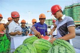 让员工吃瓜,企业打造员工共享时光新风尚