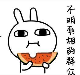 吃瓜相亲文案短句图片,趣味横生的爱情邂逅