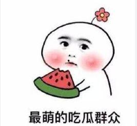 吃瓜相亲文案短句图片,趣味横生的爱情邂逅