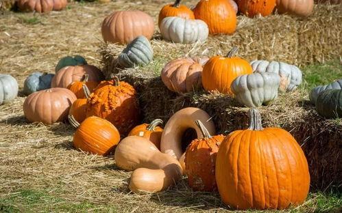 老孙吃瓜,揭秘娱乐圈那些不为人知的幕后故事