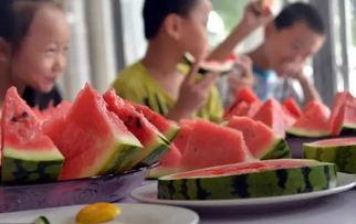 98吃瓜节,一场全民狂欢的夏日盛宴