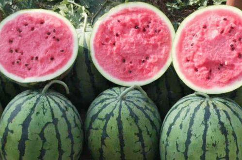 梦到别人买大瓜吃,揭秘梦中他人品尝大瓜的神秘寓意