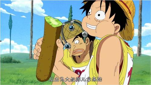 吃瓜船长,一场舌尖上的冒险之旅