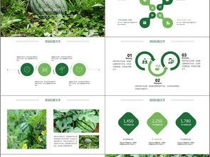 ppt模板复旦吃瓜,揭秘校园热点事件背后的真相