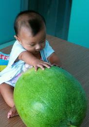 yy吃瓜图片大全,揭秘娱乐圈幕后故事