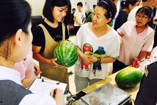 吃瓜礼物3,一场别开生面的跨界狂欢盛宴