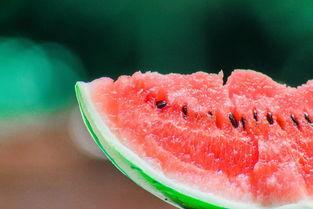 吃瓜不白吃,网络热词背后的趣味与思考