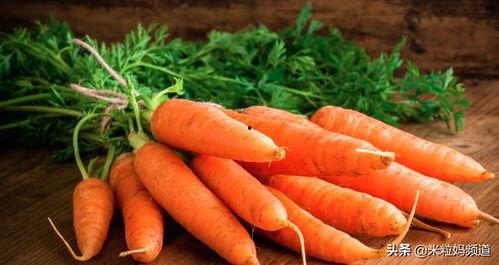 橙橙 我爱你吃瓜,一场关于爱与吃瓜的甜蜜盛宴