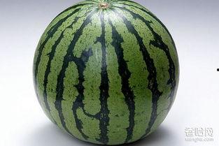 西瓜的瓜怎么吃,探索西瓜的多种美味吃法