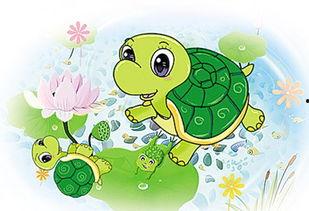 儿童故事小乌龟吃瓜,小乌龟的夏日瓜果盛宴