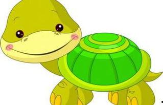 儿童故事小乌龟吃瓜,小乌龟的夏日瓜果盛宴