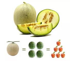 吃冰激凌瓜上火吗,冰激凌瓜，真的会上火吗？