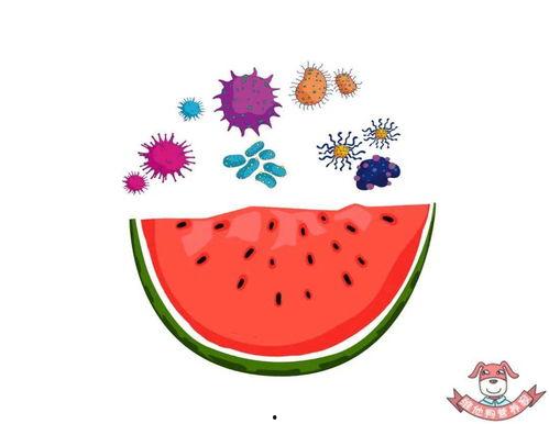 吃瓜的瓜怎么画,创意绘画的趣味探索