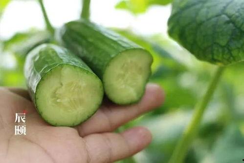 小辰吃瓜,揭秘娱乐圈那些不为人知的幕后故事